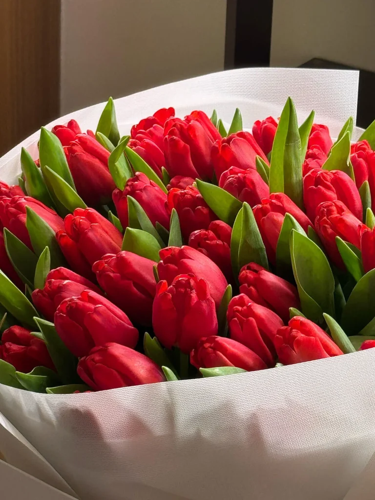 Red Tulips - Image 4
