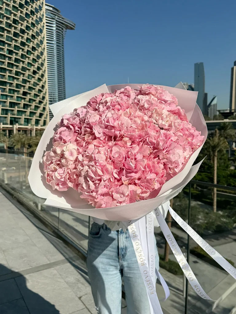 Pink Hydrangea