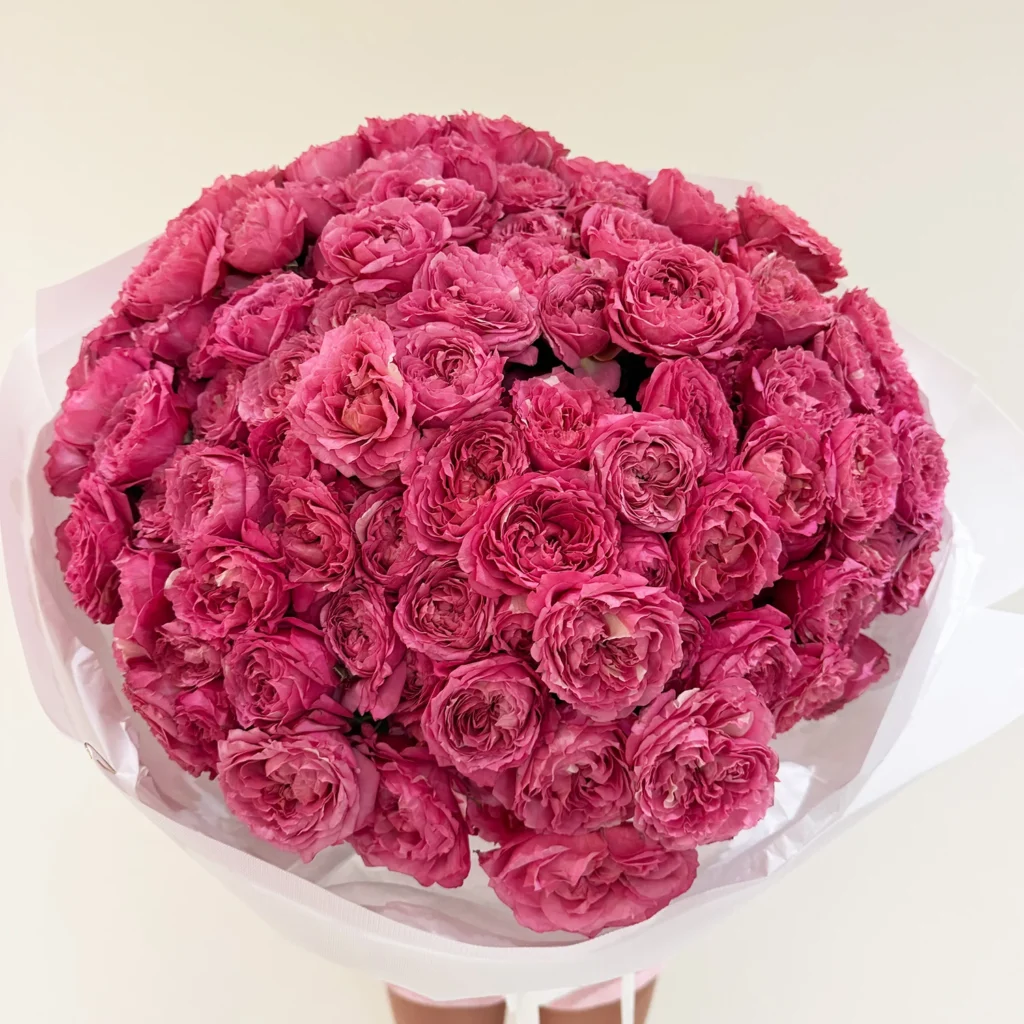 Spray Rose - Image 3