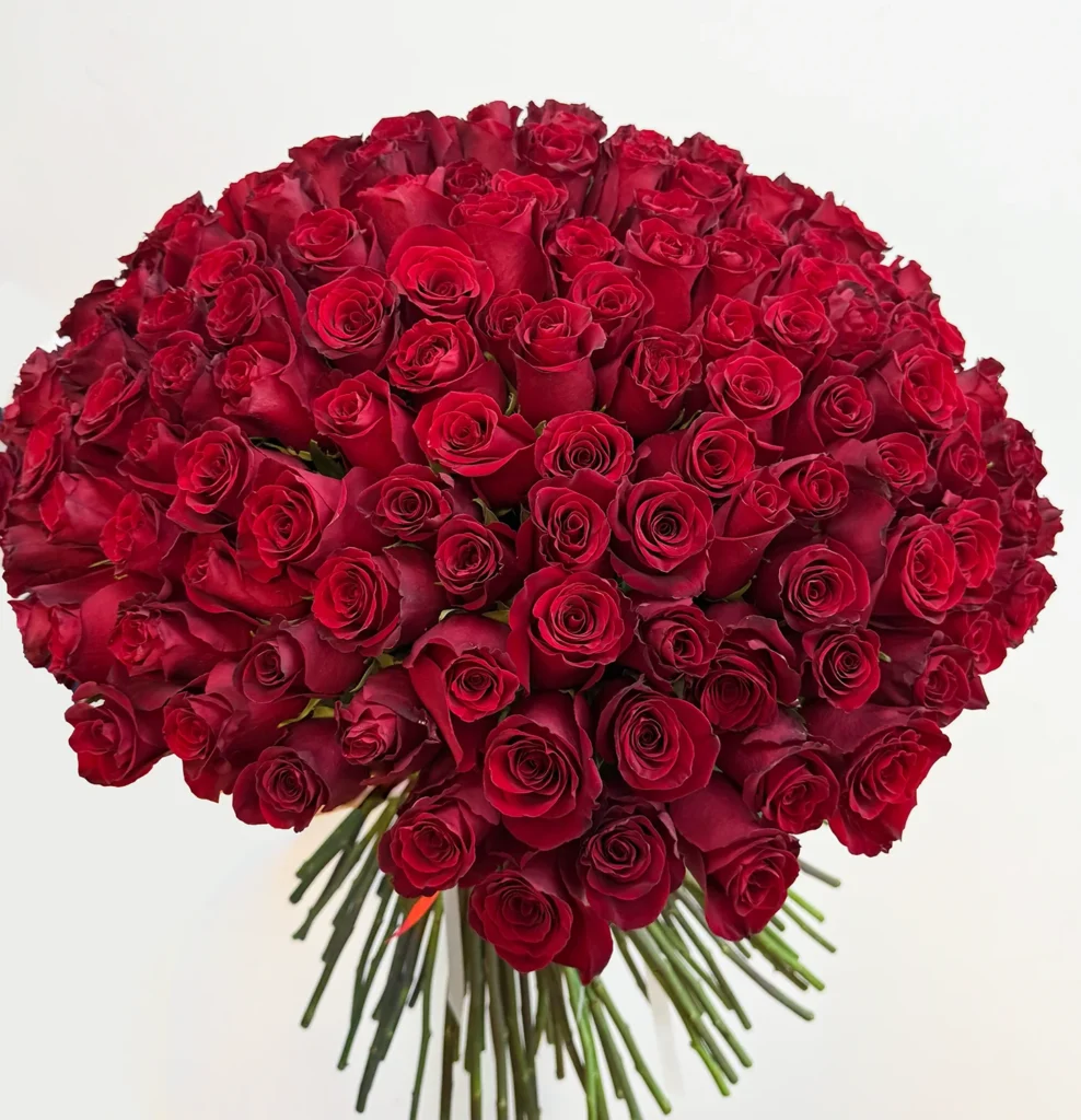 150 Red Roses 70 cm